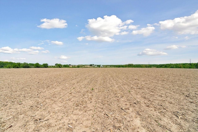 W7211 Pine Rd, Thorp, WI 54771 - view of nature with rural landscape and abundant farmland