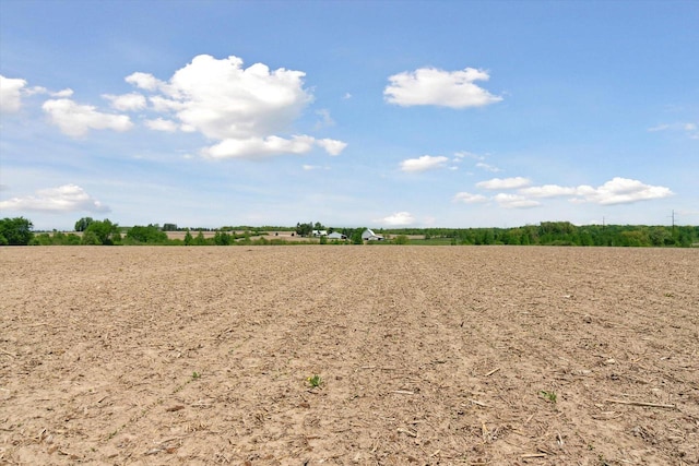 W7211 Pine Rd, Thorp, WI 54771 - view of undeveloped land featuring rural landscape