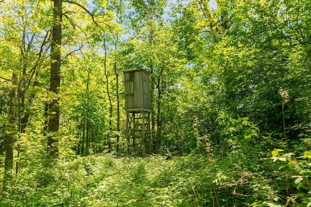 W7211 Pine Rd, Thorp, WI 54771 - view of local wilderness