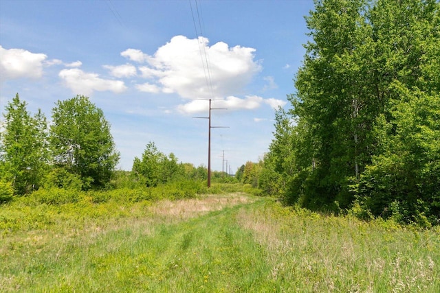 W7211 Pine Rd, Thorp, WI 54771 - view of local wilderness