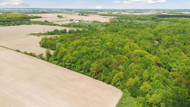 W7211 Pine Rd, Thorp, WI 54771 - drone / aerial view of a heavily wooded area