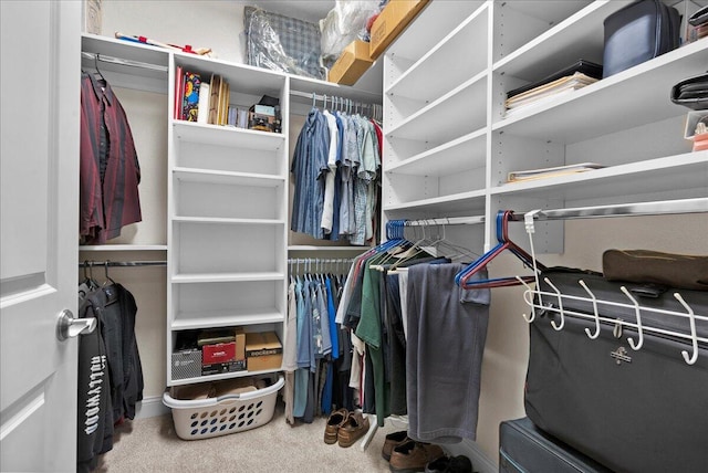 832 N 6th St Unit 118, Sheboygan, WI 53081 - walk in closet with carpet