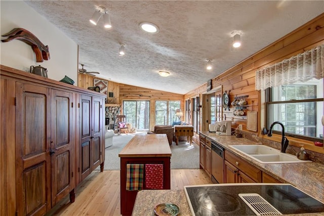8360 W Shore Ln, Hayward, WI 54843 - kitchen featuring a sink, stainless steel dishwasher, black electric stovetop, open floor plan, and light wood-style flooring