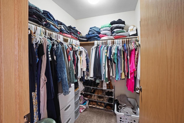 371 Thurow Dr, Oconomowoc, WI 53066 - spacious closet featuring carpet flooring