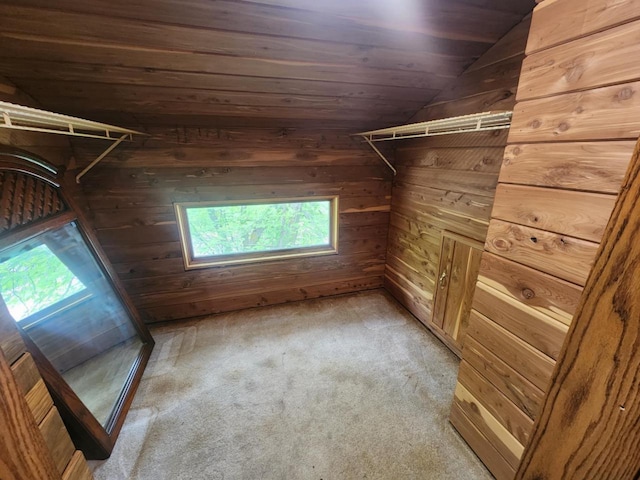 409 W Spence St, Colby, WI 54421 - walk in closet with carpet flooring and vaulted ceiling