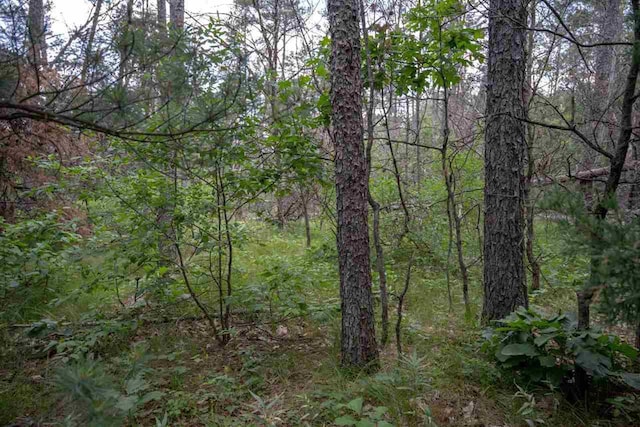 N8275 Woodland Trl, New Lisbon, WI 53950