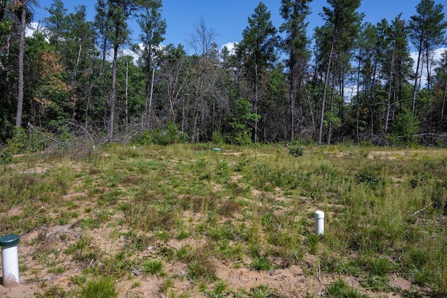 N8275 Woodland Trl, New Lisbon, WI 53950