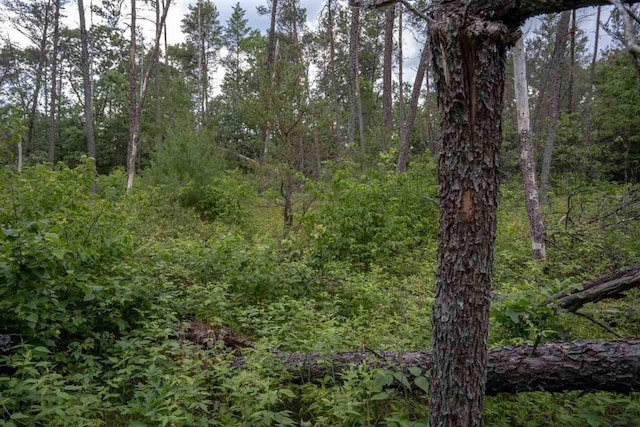 N8275 Woodland Trl, New Lisbon, WI 53950