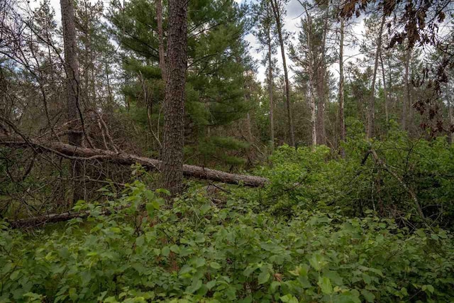 N8275 Woodland Trl, New Lisbon, WI 53950