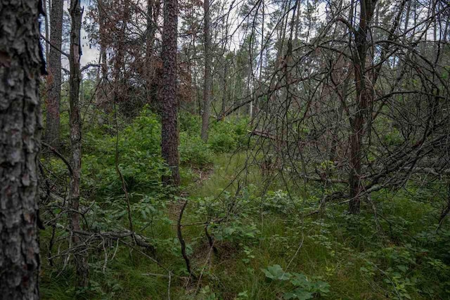N8275 Woodland Trl, New Lisbon, WI 53950