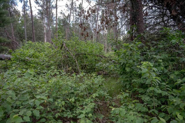 N8275 Woodland Trl, New Lisbon, WI 53950