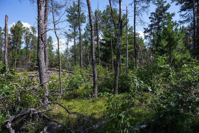 N8275 Woodland Trl, New Lisbon, WI 53950