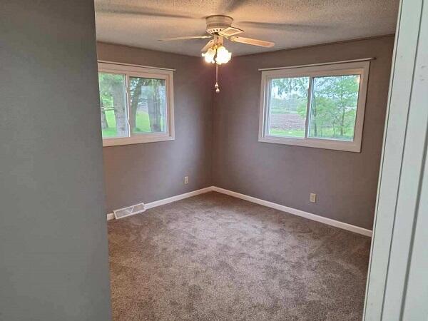810 Railroad Ave, Viroqua, WI 54665 - empty room with ceiling fan, carpet flooring, a textured ceiling, and baseboards
