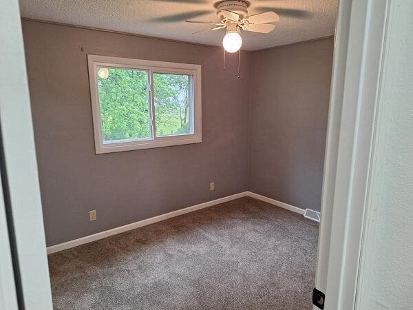 810 Railroad Ave, Viroqua, WI 54665 - unfurnished room with carpet, a ceiling fan, baseboards, and a textured ceiling