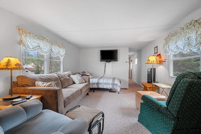 N9578 Dahleen Ln, Crivitz, WI 54114 - living room with carpet floors