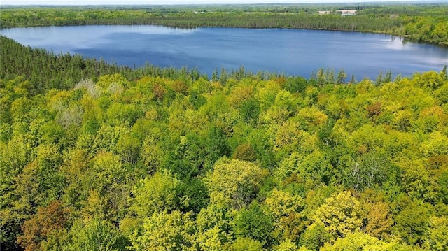1775 Round Lake Rd, Bruce, WI 54819 - bird's eye view of a heavily wooded area and a large body of water