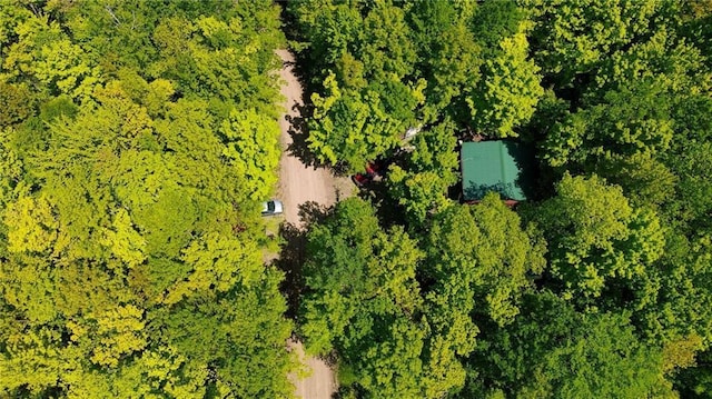 1775 Round Lake Rd, Bruce, WI 54819 - bird's eye view