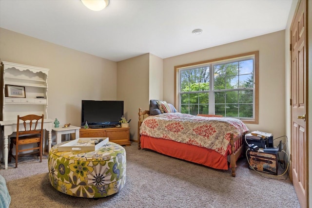 660 Wood River Ct Unit 1, West Bend, WI 53095 - bedroom featuring carpet