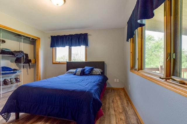 E3581 Green Valley Dr, La Valle, WI 53941 - bedroom with multiple windows, wood finished floors, baseboards, and a closet