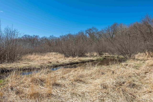 N9056 16th Ave, Neshkoro, WI 54960 - view of wooded area