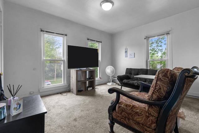 805 N State St, Appleton, WI 54911 - living area featuring carpet