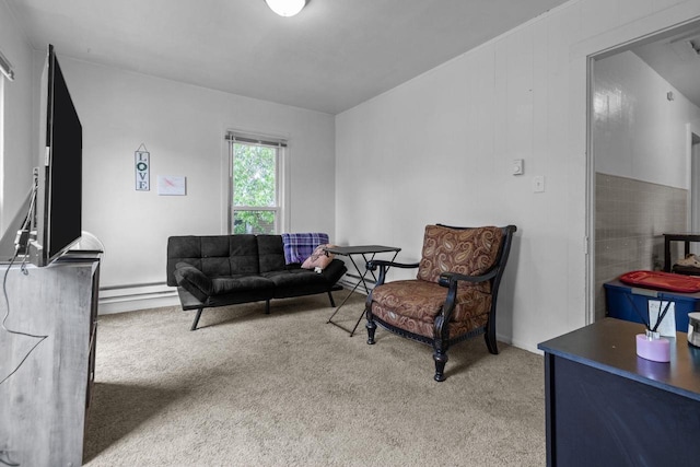 805 N State St, Appleton, WI 54911 - living area with carpet and a baseboard radiator
