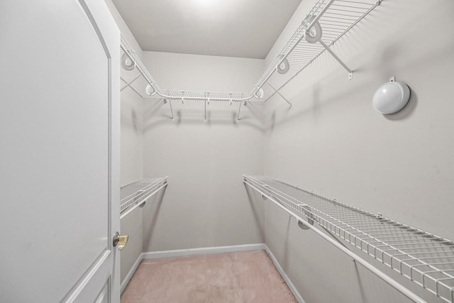 8687 S Deerwood Ln, Franklin, WI 53132 - spacious closet with light carpet