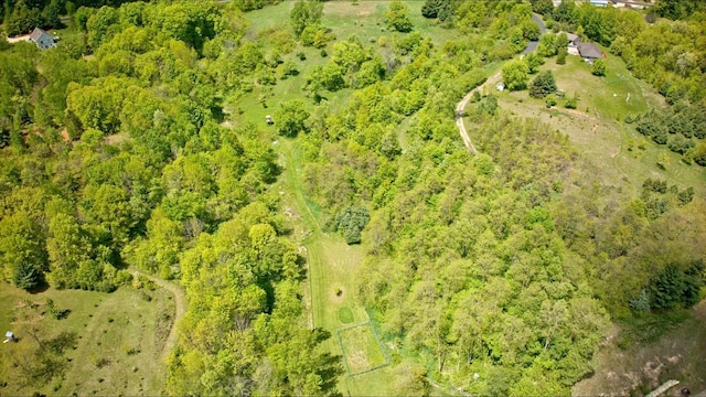 S1579 Butler Rd, Hillsboro, WI 54634 - aerial view of property's location