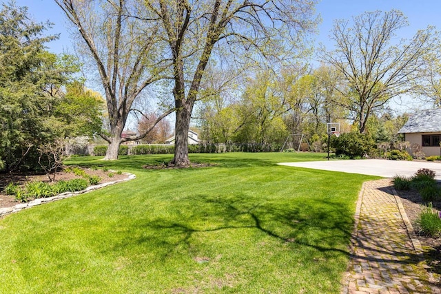 1030 Washington Ave, Oshkosh, WI 54901 - view of grassy yard