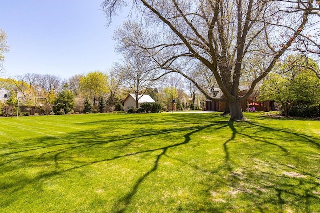 1030 Washington Ave, Oshkosh, WI 54901 - view of grassy yard