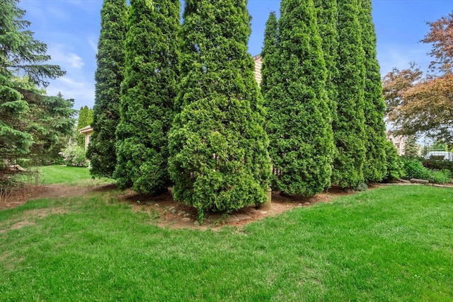 W159N4835 Graysland Dr Unit E, Menomonee Falls, WI 53051 - view of grassy yard