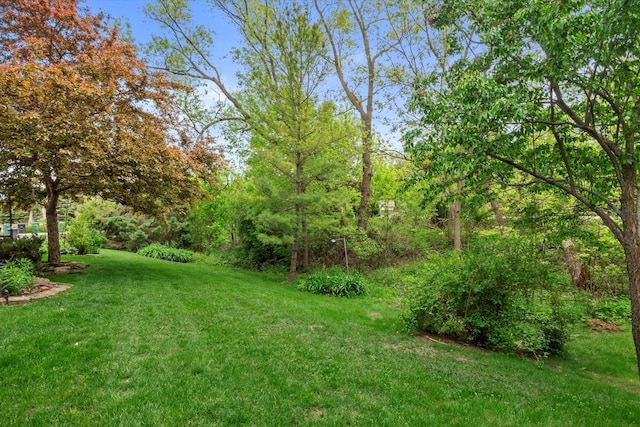 W159N4835 Graysland Dr Unit E, Menomonee Falls, WI 53051 - view of grassy yard