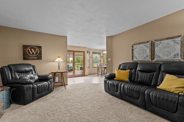 3226 W Twin Willow Ct, Appleton, WI 54914 - living room with carpet flooring