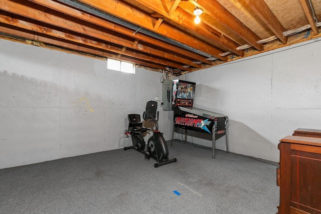 3226 W Twin Willow Ct, Appleton, WI 54914 - below grade area featuring electric panel and carpet floors