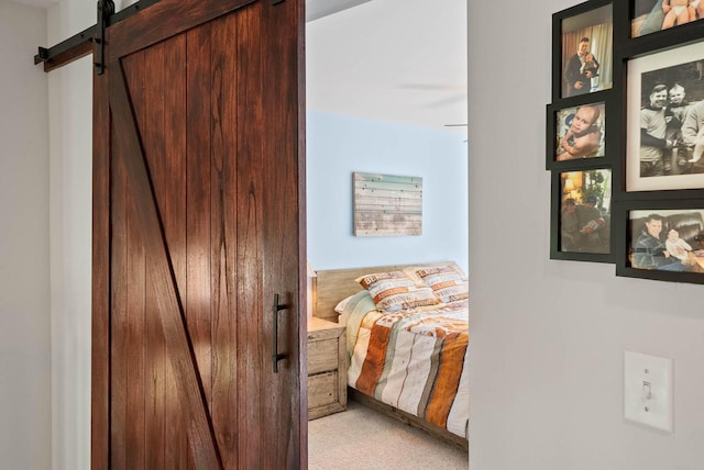 690 Valleyview Ct Unit 35-22, Lake Geneva, WI 53147 - hallway featuring a barn door and light colored carpet