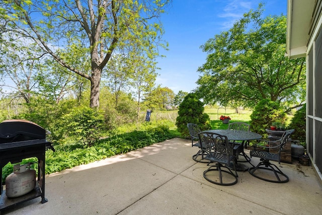 690 Valleyview Ct Unit 35-22, Lake Geneva, WI 53147 - view of patio featuring outdoor dining area and a grill