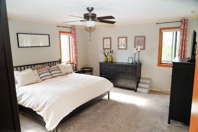 600 Briody St, Burlington, WI 53105 - carpeted bedroom featuring crown molding, multiple windows, a ceiling fan, and baseboards