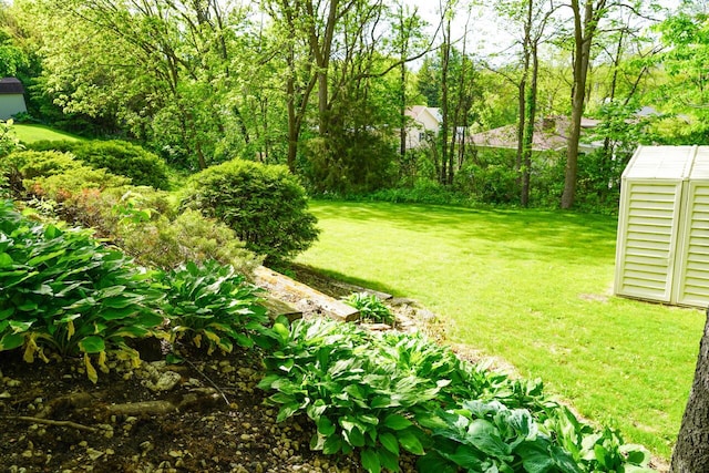 600 Briody St, Burlington, WI 53105 - view of green lawn