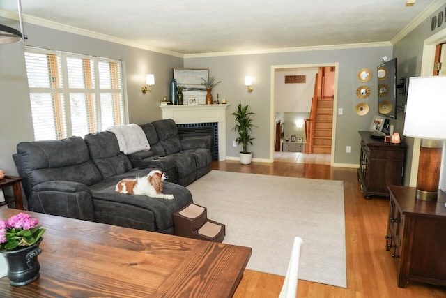 600 Briody St, Burlington, WI 53105 - living area with wood finished floors, crown molding, a glass covered fireplace, and baseboards