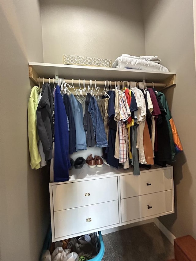 11654 Flambeau Rd, Tomah, WI 54660 - view of walk in closet