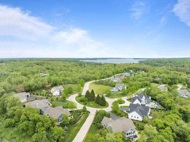 833 Red Hawk Dr, Walworth, WI 53184 - aerial view of residential area with a heavily wooded area