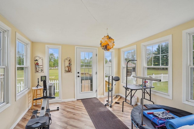 354 Pine Ct, Muscoda, WI 53573 - workout room featuring plenty of natural light, light wood-style floors, and baseboards