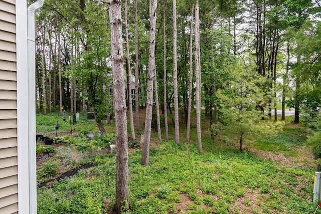 7423 Cedar Creek Trl, Madison, WI 53717 - view of yard
