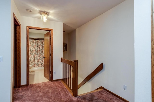 7423 Cedar Creek Trl, Madison, WI 53717 - hallway with an upstairs landing, carpet floors, and baseboards