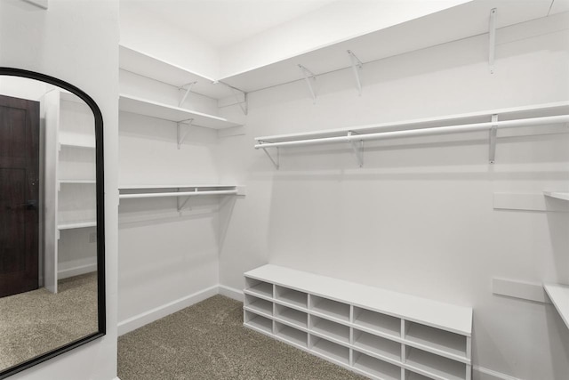 W4949 Cottage Ln, Sherwood, WI 54169 - spacious closet with carpet flooring
