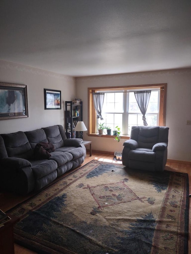 1041 Sundown Ct, Mukwonago, WI 53149 - living area with plenty of natural light and wood finished floors