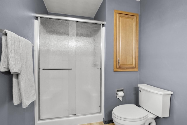 W5841 Easter Lily Dr, Appleton, WI 54915 - bathroom featuring a stall shower and toilet