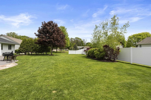 W5841 Easter Lily Dr, Appleton, WI 54915 - view of yard with a patio
