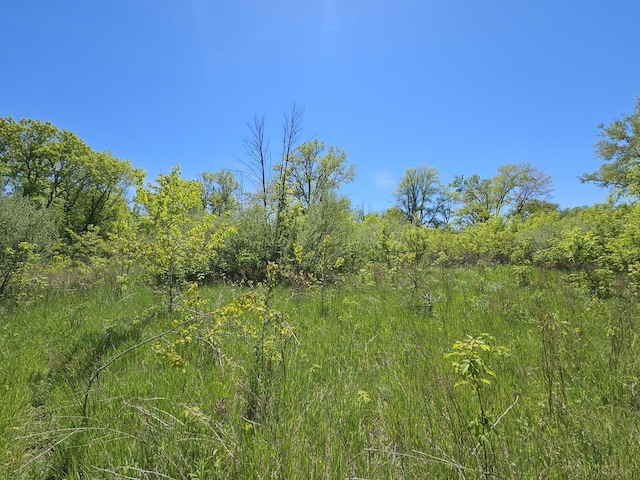 LT0 S Foster Dr, Saukville, WI 53080