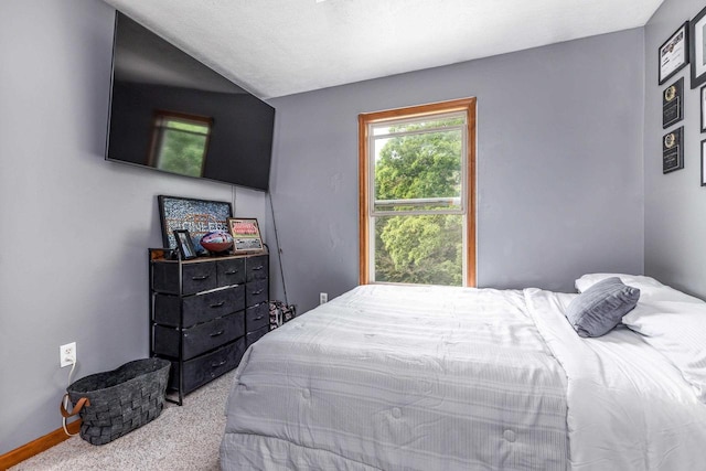 1320 Raymond Ct, Platteville, WI 53818 - carpeted bedroom featuring baseboards